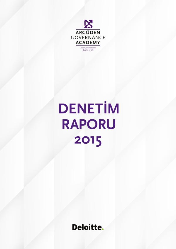 2015 Bağımsız Denetim Raporu