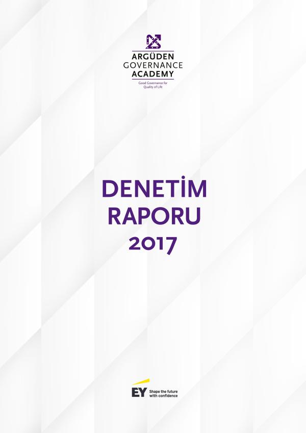 2017 Bağımsız Denetim Raporu