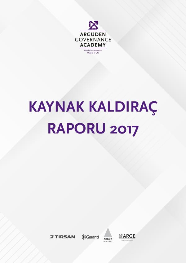 2017 Kaynak Kaldıraç Raporu