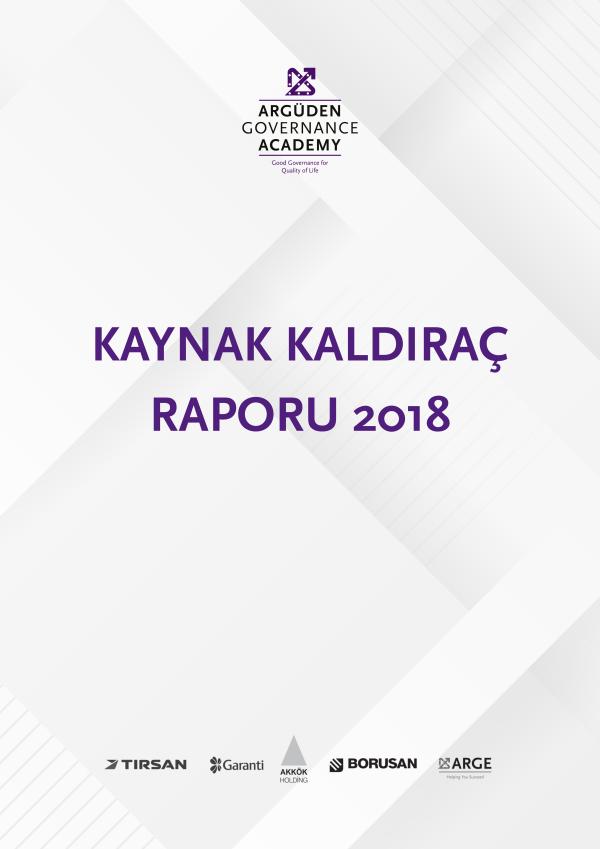 2018 Kaynak Kaldıraç Raporu