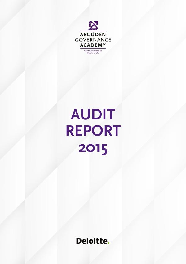 Audit Report 2015