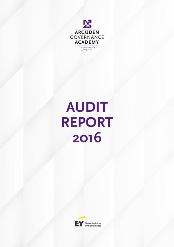 Audit Report 2016